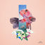 Cover goldfish