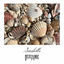 Cover Seashells