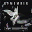 Cover Remember
