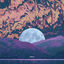 Cover Polysomn