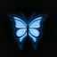 Cover Butterfly