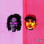 Cover NAIPE