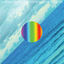 Cover Here