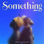Cover Something (feat. Reverb OnIt)