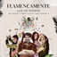 Cover Flamencamente