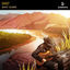 Cover Chief