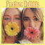 Cover Pushing Daisies