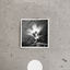 Cover Empty