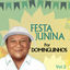 Cover Festa Junina por Dominguinhos, Vol. 2