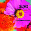 Cover Essence