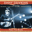 Cover Feel the Blues 2014 Remix