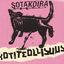 Cover Sotakoira