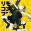 Cover REMO-COMP