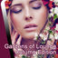 Cover Gardens of Lounge Autumn Edition