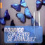 Cover Rodrigo: Concerto de Aranjuez