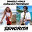 Cover Señorita (Sax and Violin)
