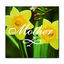 Cover Mother