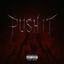 Cover PUSH IT