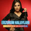 Cover Hele Dadaş / Leyla leyla / Kavurma Koydum Tasa / Erzurumun Güzelleri / Sarı Pabuç / Kürdün Kızı / Ördeği İpek İnen Bağlamışlar / K (Erzurum Halayları Kesintisiz 20 Dakika)