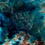 Cover Same Blue