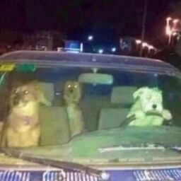 ''