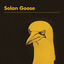 Cover Solan Goose