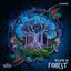 Cover Believe in Forest