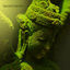 Cover Sacred Garden