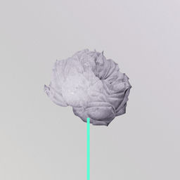 ''