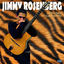 Cover Django's Tiger