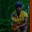 Cover Bando Stone and The New World