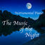 Cover Instrumental Piano: The Music of the Night