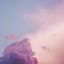 Cover Mon eden