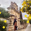 Cover Mimose