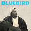 Cover Bluebird