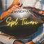 Cover Handpan
