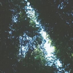''