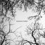 Cover Random Forest