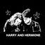 Cover Harry and Hermione (Harry Potter and the Half Blood Prince)