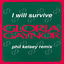 Cover I Will Survive (Phil Kelsey Remix)