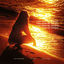 Cover Lady (Hear Me Tonight)