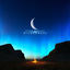 Cover Wilderness