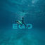 Cover EGO