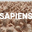 Cover SAPIENS