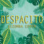 Cover Despacito (feat. Santos Real)