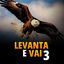 Cover Levanta e Vai 3