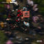 Cover Instinct