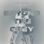 Cover Beyond the Grey