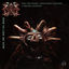 Cover How Ya Like Me Now