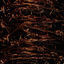 Cover Freedom Bondage